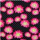 Michael Miller Stoff Stone Daisy Dot von Patty Young 2