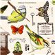Michael Miller fabric Wing Study bird butterfly 1