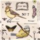 Michael Miller Premium Laminat Stoff Wing Study 1