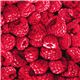 Raspberry fabric by Timeless Treasures from the USA 1