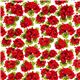 Robert Kaufman fabric with red flowers from the USA 2