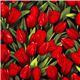 Robert Kaufman flower fabric with red tulips from the USA 1