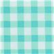 aqua-white gingham Michael Miller fabric Picnic 1