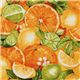 beautiful oranges lemons limes fabric Robert Kaufman 1