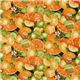 beautiful oranges lemons limes fabric Robert Kaufman 2