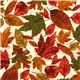 beige Timeless Treasures autumn fabric colourful leaves 1