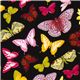 black Michael Miller fabric colourful butterflies 1