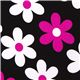 black Michael Miller fabric pink-white flowers 1