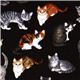 black Timeless Treasures fabric cat USA 1