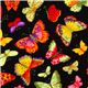black designer fabric with colourful butterflies 1