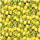 black lemon fabric by Timeless Treasures from the USA 2