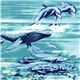 blue Michael Miller fabric whale dolphin fish ocean 2