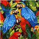 colourful tropical bird fabric parrot Robert Kaufman Fabric by Robert ...