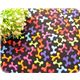 cute colourful dog bones fabric kawaii half yard 1