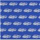 echino canvas designer fabric cars blue from Japan 2