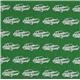 echino Canvas Designer Stoff Cars Auto grün aus Japan 2