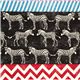 echino canvas fabric black zebras & stripes Japan 1