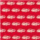 echino laminate fabric cars in rosa 2