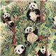 green panda bear Jo-Ann fabric with bamboo 0.5m 1