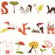 white monaluna organic fabric with alphabet fox racoon owl 1