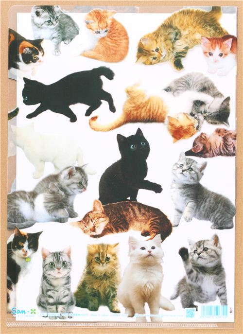 kawaii A4 plastic file folder with many cats modeS4u