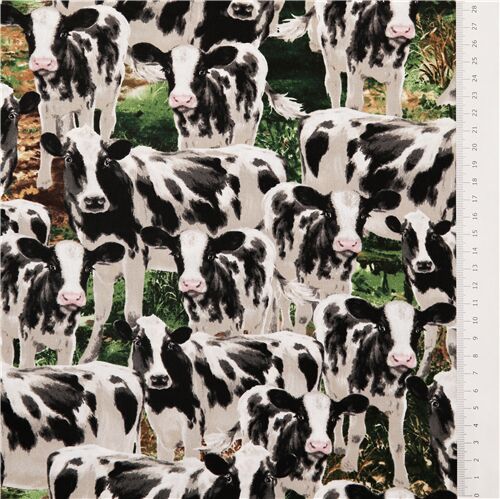 Black and white cow print wallpaper Wallpaper, Raspberry Creek Fabrics