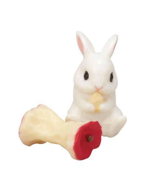 Rabbit favorite food Gashapon capsule toy from Japan 6