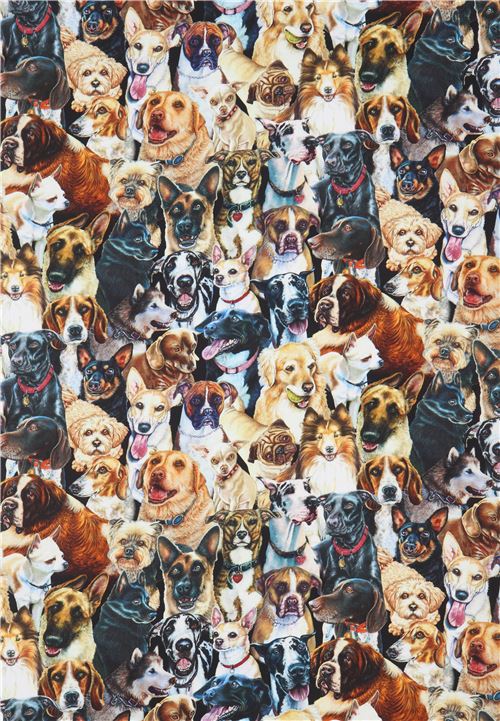 Robert Kaufman black brown grey dog fabric Whiskers and Tails Digital