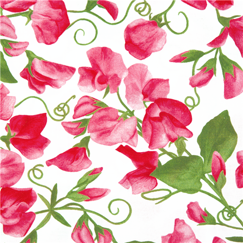 Tela de linón de algodón floral con guisantes de olor flores rosas de  Robert Kaufman - modesS4u
