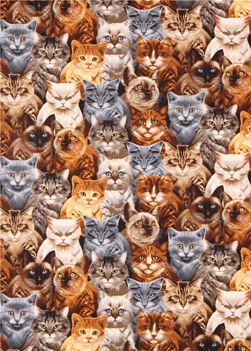 black cat animal fabric by Timeless Treasures 2