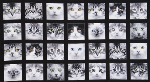 Tissu Elizabeths Studio Noir Avec Des Chats Gris Et Blancs Adorable Pets