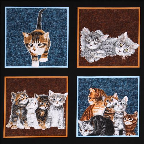 Tela negra patchwork gatos Counting Kittens de EE. UU. Tela