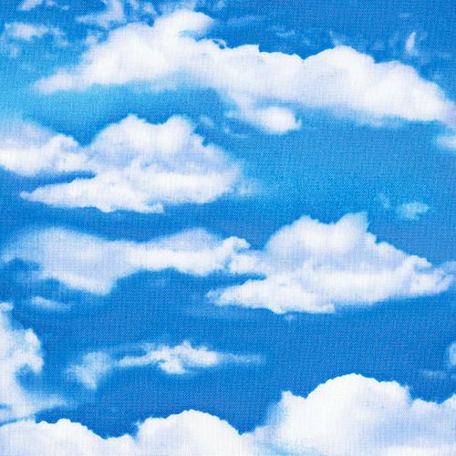 blue fabric with cloud sky by Timeless Treasures modeS4u