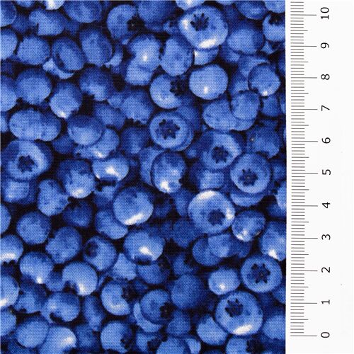 blueberry fruit fabric by Timeless Treasures from the USA by Timeless