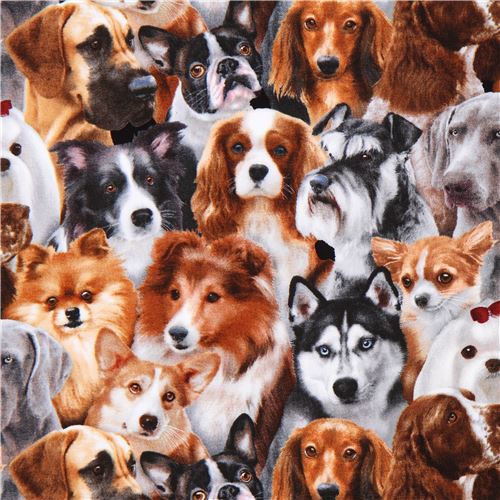brown grey with funny dogs Dog Breeds fabric by Elizabeth's Studio