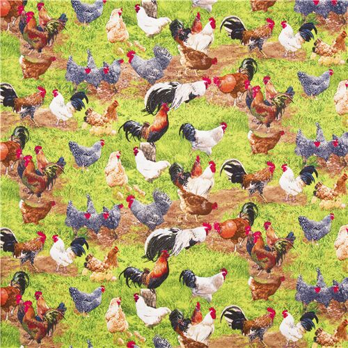 Polli E Galline: Consigli Utili Per L’allevamento Domestico - Foto 9