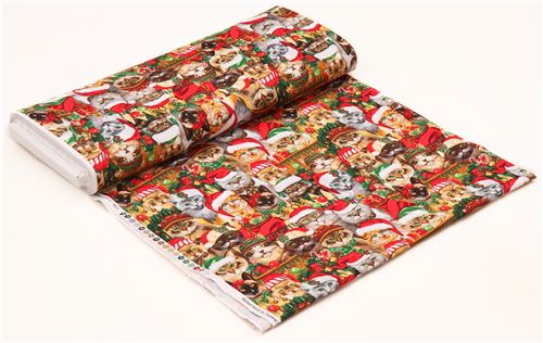 colorful fabric with cat winter Christmas hat by Timeless Treasures 4