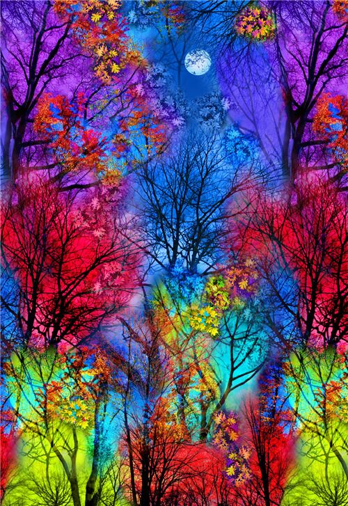 colorful forest panel fabric by Timeless Treasures Fabric