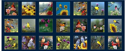 colourful panel patches wild Cardinal bird fabric by QT Fabrics Fabric