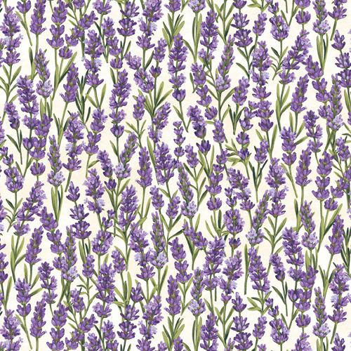 cream fabric purple lavender flower by Northcott Porcelain - modeS4u