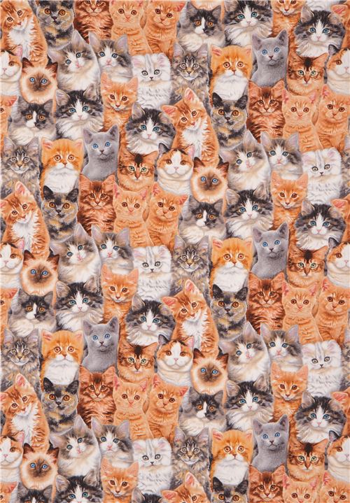 Remnant (22 x 110 cm) - cute fabric funny brown grey cat Adorable Pets