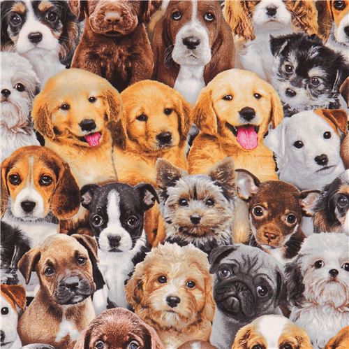 Ser Stoff lustiger brauner grauer Hund Adorable Pets von Elizabeth's Studio Stoff