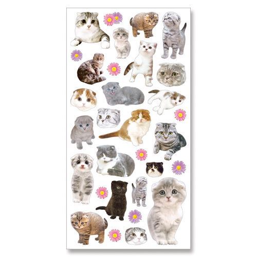 cute kawaii Scottish Fold cat animal stickers by Mind Wave - Animal ...