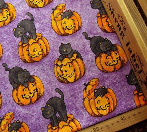 süsser Kätzchen Kürbis Halloween Stoff 0,5m 1