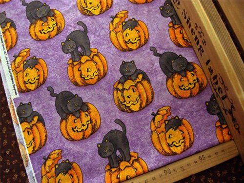 süsser Kätzchen Kürbis Halloween Stoff 0,5m 2