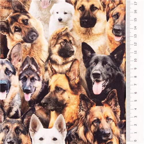 Tela de algodón con animales domésticos mascotas perros pastor