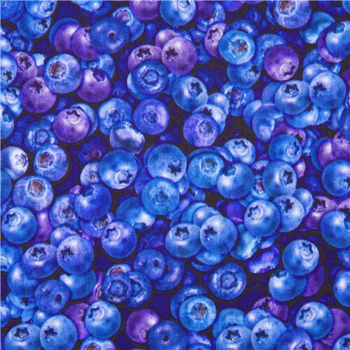 Stoffrest (40 x 109 cm) Baumwollstoff mit frischem Obst