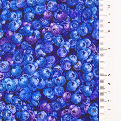 Resto de (40 x 109 cm) - Tela de algodón arándanos azules fruta fresca de Quilting Treasures EE. UU. 3