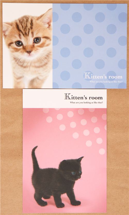 Kawaii Cat Kitten Letter Set By Q Lia Letter Sets Stationery 