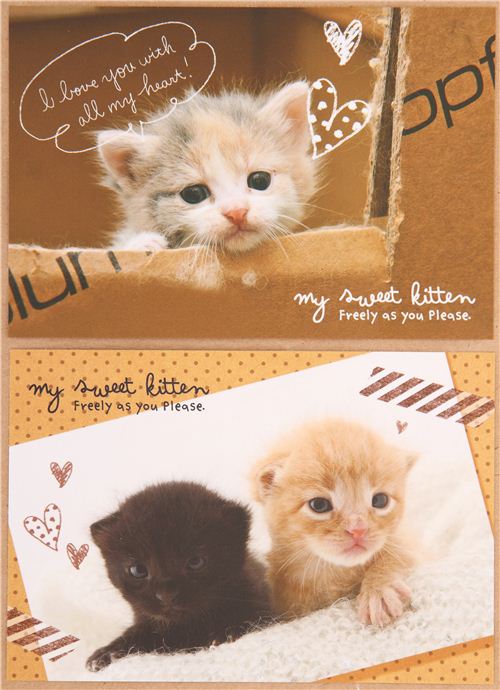 kawaii kitten animal polka dots Letter Set by Q-Lia - modeS4u